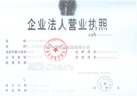 企业法人营业执照