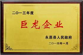 企业证书-巨龙企业