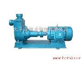 50BZ(H)-20BZH型海水离心泵